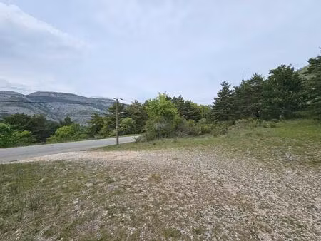 terrain