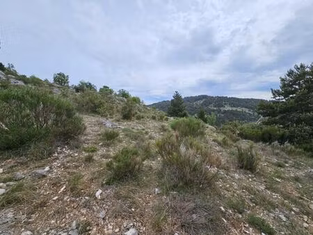 terrain