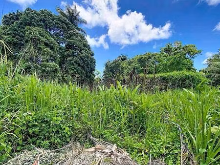 terrain constructible à vendre