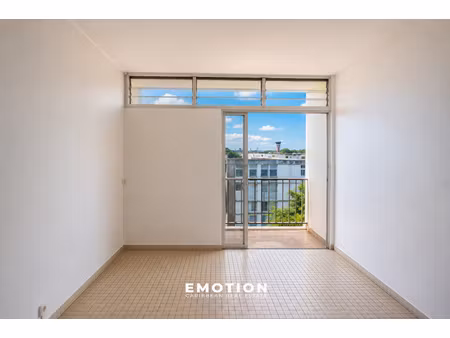 appartement t3 48m2 lumineux  abymes
