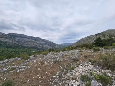 terrain