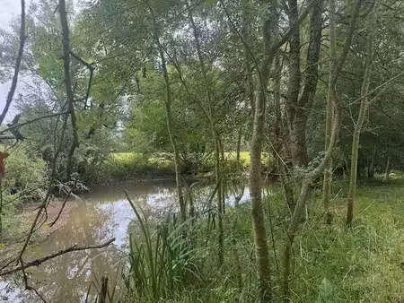 terrain de loisirs en bord de rivière - a 5min de st jean d'