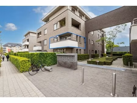 appartement te huur in hoogstraten met 2 slaapkamers