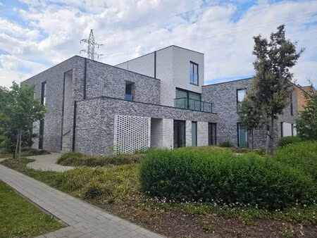 appartement te huur in olen met 2 slaapkamers