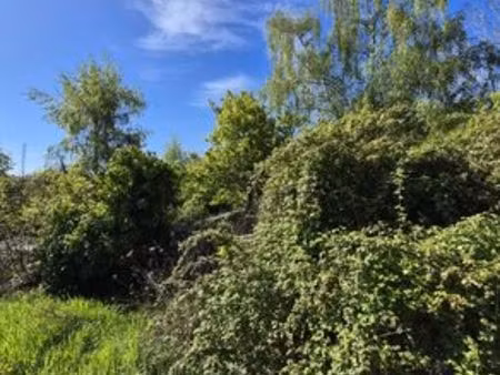 terrain de 1573 m2 en vente - mareil-marly  france