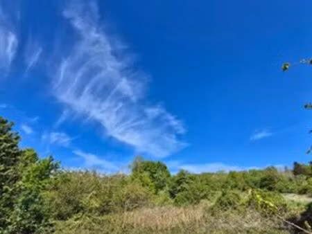 terrain de 1650 m2 - mareil-marly  île-de-france