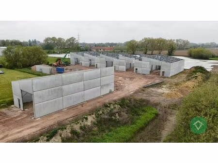loods i te koop – 321 60 m² kmo-zone ardopoort te roeselare