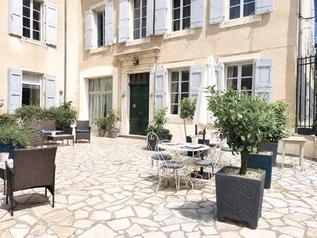 majestueuse maison de maitre en centre village  appartement indépendant  et rare jardin...