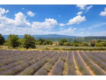 a vendre - authentique mas en pierre au coeur de la nature  avec vue et lavandes