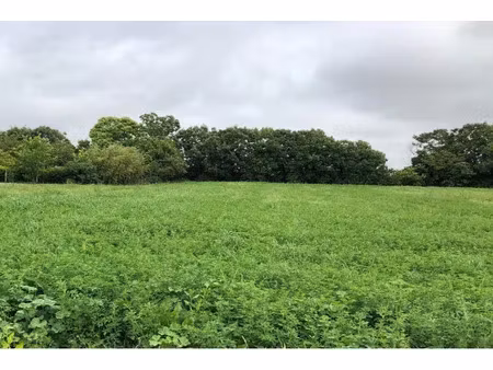 vente terrain 253 m² aigrefeuille-d’aunis (17290)