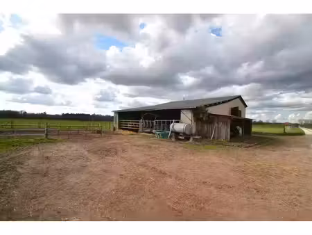 vente terrain montpon-ménestérol 24700 - - surface privée