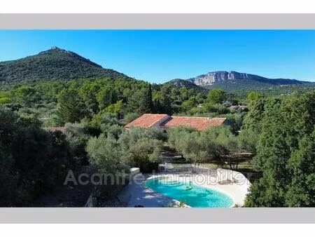 villa de 5 chambres de luxe en vente saint-mathieu-de-tréviers  france