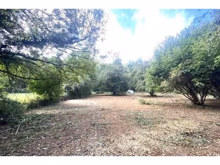 vente terrain 2370 m² vallangoujard (95810)