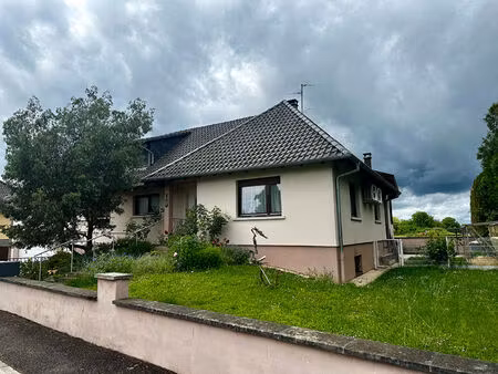 maison d'exception à vendre à daubensand - 8 pièces  piscine  calme absolu