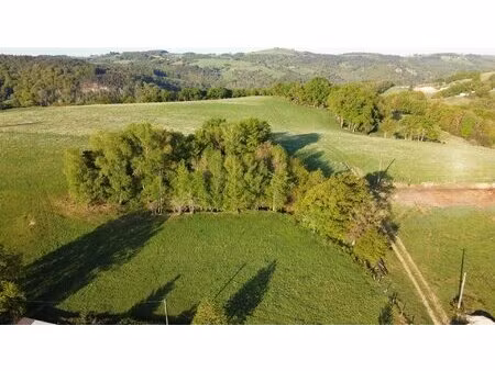 terrain constructible boisé