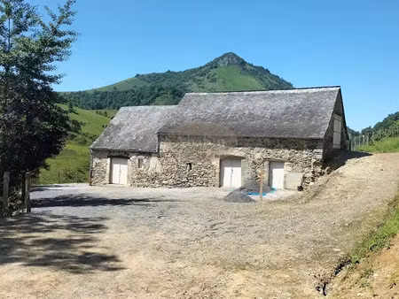 vente locaux professionnels 4 pièces 130 m² à lourdios-ichère (64570)  139 000 €