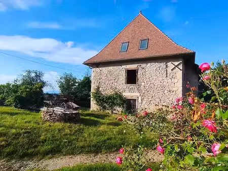 vente immeuble 8 pièces 390 m² à saint-jean-d'avelanne (38480)  215 000 €