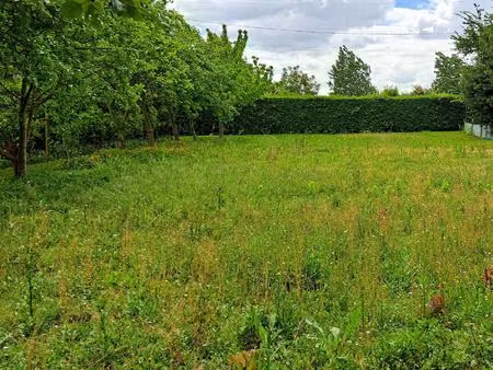 terrain de loisirs