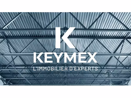 location locaux professionnels 1 pièce 190 m² à saint-genis-pouilly (01630)  4 180 €