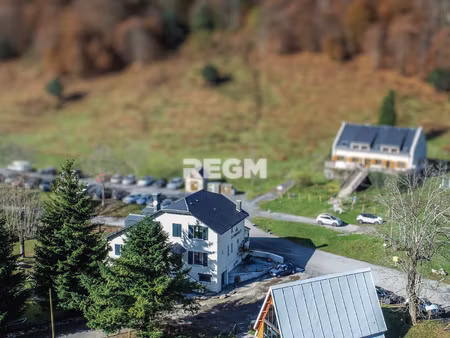 a vendre murs et fonds dans les pyrénées  au coeur de la nat