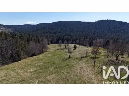 en vente terrain constructible 190 ares – 150 000 € |gérardmer
