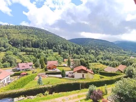 chalet de prestige de 7 pièces en vente la bresse  grand est