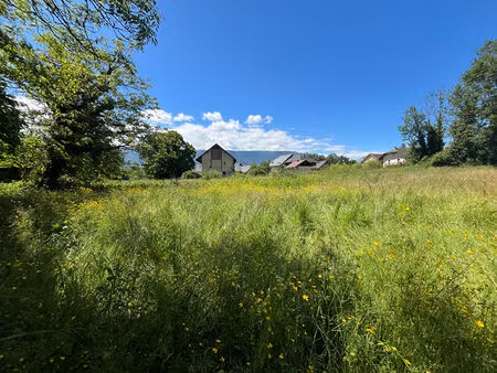 achat terrain 1 237m²