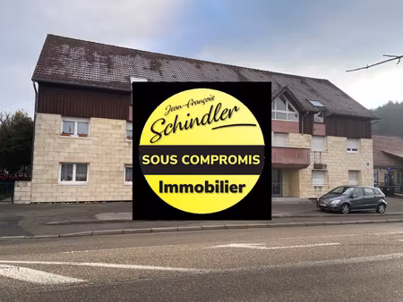 achat immeuble 593m² masevaux niederbruck 68290