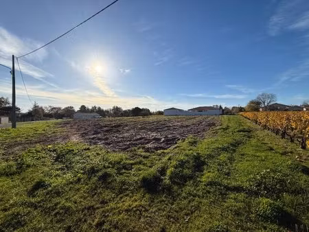 terrain à bâtir à cussac-fort-médoc (33460)
