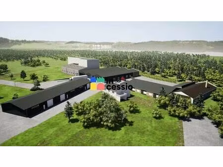 vente local d’activités monce en belin 72230 300m²