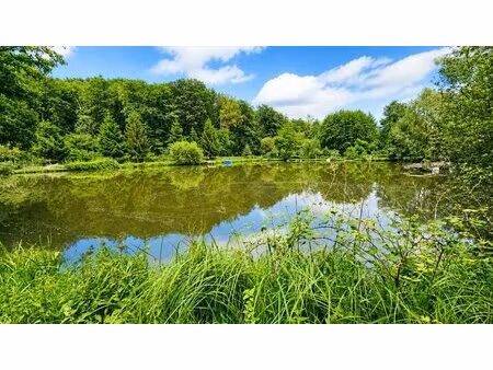 terrain de loisirs avec pièce d'eau bauge en anjou (49)