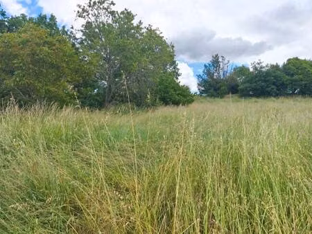 terrain constructible viabilisé à vendre