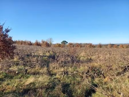 terrain constructible viabilisé à vendre