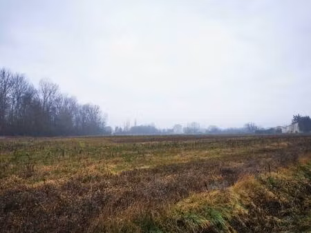 terrain constructible viabilisé à vendre