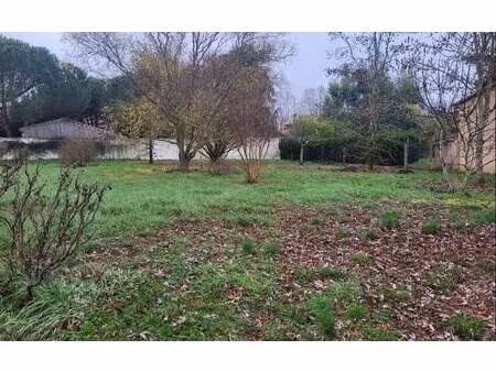 terrain constructible viabilisé à vendre