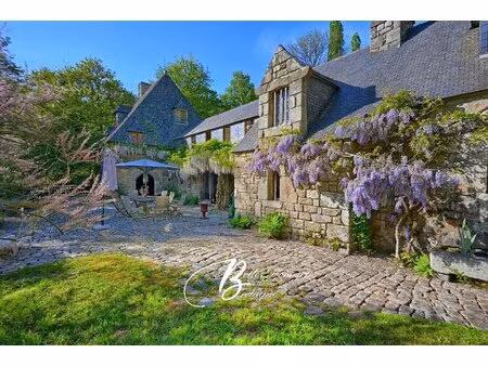 a vendre moulin au bord de l'eau sur plus d'un hectare bretagne