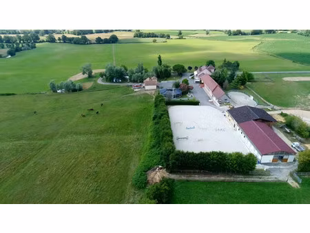 maison de luxe à vendre dans le quartier louhans