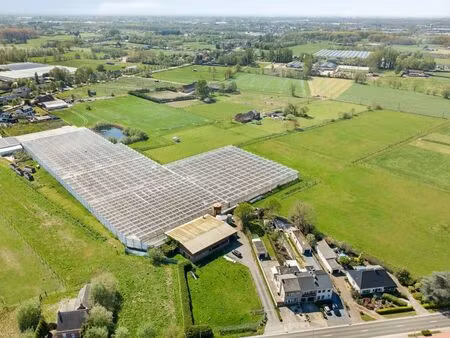 terrain à vendre à duffel € 850.000 (loar7) - verhelst vastgoed | zimmo