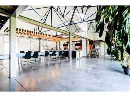 magnique loft avec possbilité de profession libérale !
