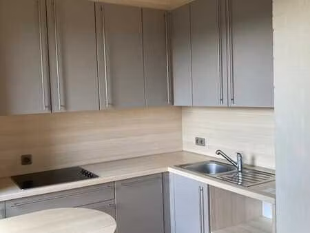 appartement 1 chambre rénové