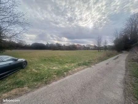 terrain agricole
