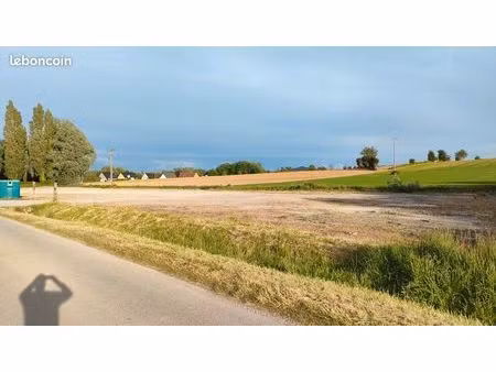 terrain 5000m2