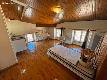 studio 1 pièce 22 m²