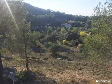 terrain pour équins  caprins ou autres