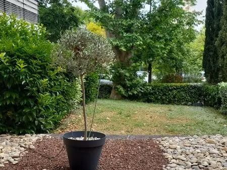 t3 saint juste  chute lavie  terrasse 32m2  double places de parking