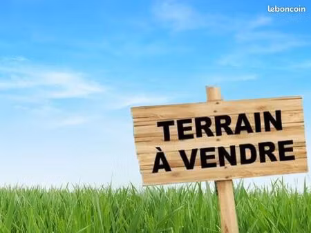 terrain constructible