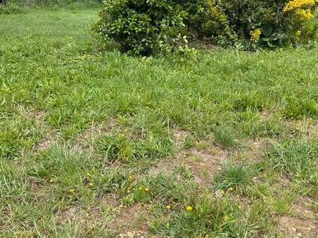 terrain constructible 510m2
