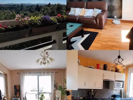 grand appartement rénové lumineux