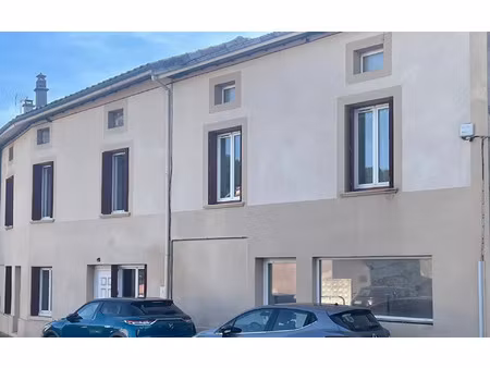 immeuble peyrins 255 m² t-10 à vendre  365 000 €