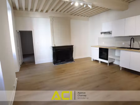 macon - appartement t3 entierement renove